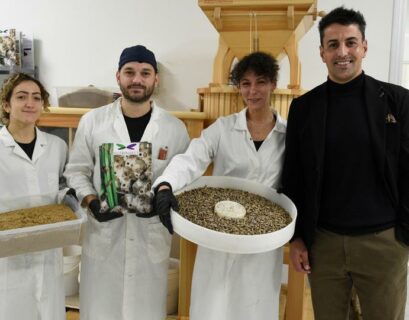 Nutrinsect ufficialmente autorizzata