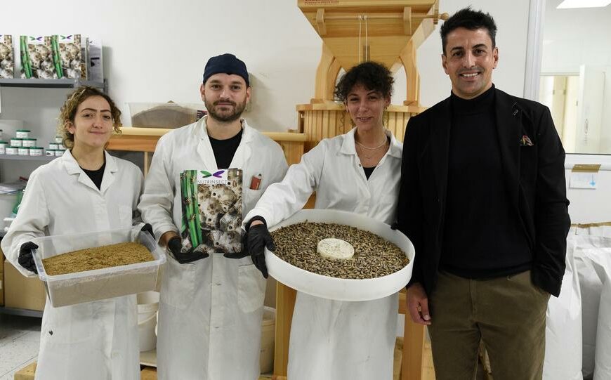 Nutrinsect ufficialmente autorizzata