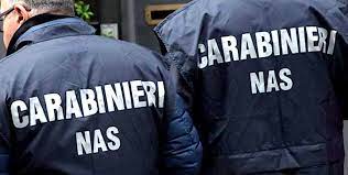 Carabinieri del NAS di Parma chiudono un ristorante etnico