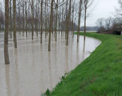 Il fiume Enza supera la soglia rossa, allarmato il sindaco Guerra, da oggi allerta arancione per piogge