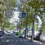 Residenti di via Milano preoccupati per la manutenzione degli alberi