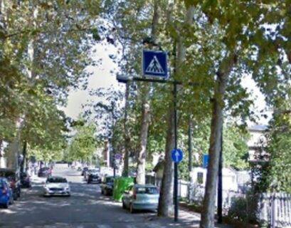 Residenti di via Milano preoccupati per la manutenzione degli alberi