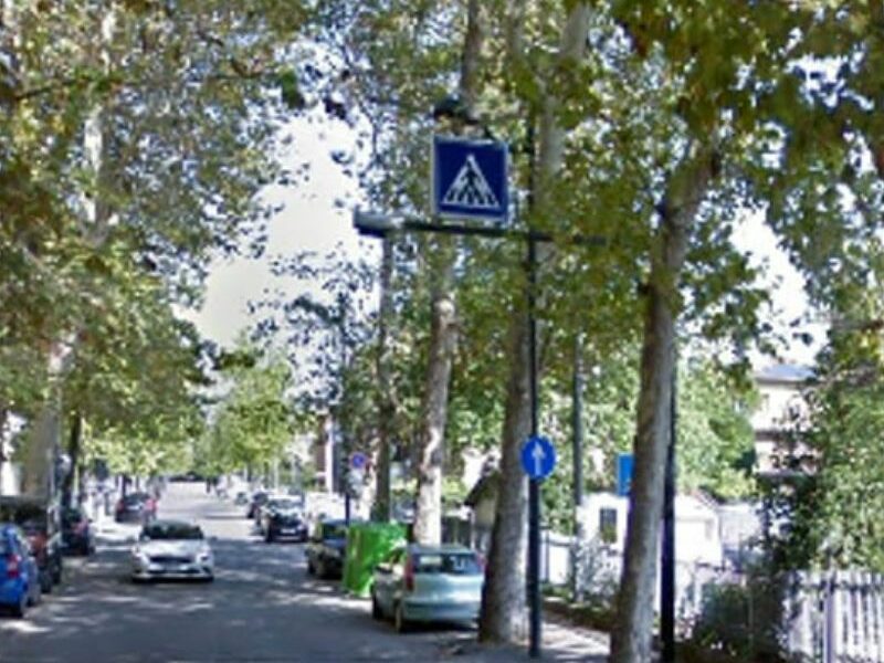 Residenti di via Milano preoccupati per la manutenzione degli alberi