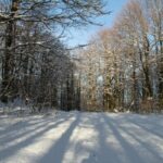 Il maltempo non da tregua fino a giovedì, nuova allerta per neve sull'Appennino