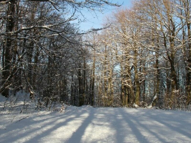 Allerta meteo gialla per l'Appennino parmense: pericolo valanghe