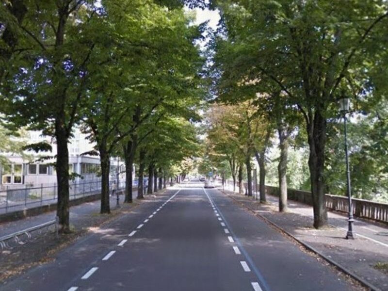 Inaugurato il parklet in viale Maria Luigia per la Giornata mondiale dell'ambiente