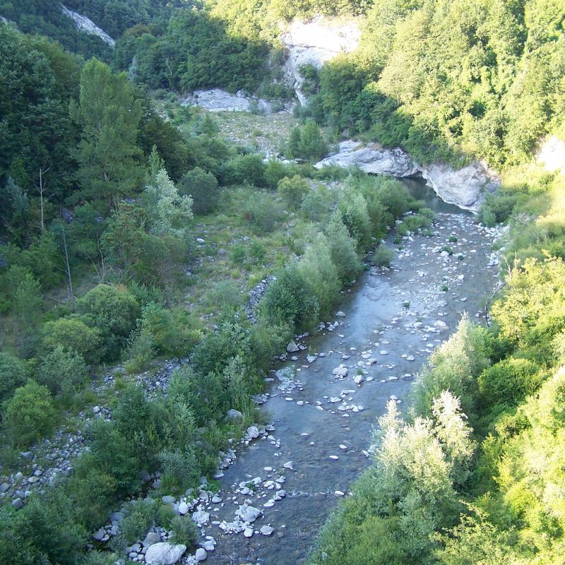 Giustino ritrovato a 5 metri di profondità in una buca, il sindaco di Sorbolo: "non cedete alla tentazione di tuffarvi"